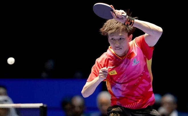 的情感纽带 的情感纽带